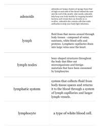 Med 154 Chapter 16 Worksheet The Is Closely Associated With The