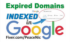 Peacenic I Will Find 100 Expired Domains Indexed In Google For 5 On Fiverr Com Index Digital Marketing Pinterest Success