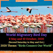 World Migratory Bird Day Is Observed Twice In A Year The Second Saturday In May And October For The Year 2020 Migratory Birds World Images Create Awareness