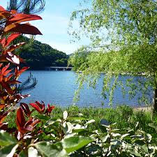 Camping le lac de la siauve has been welcoming booking.com guests since 14. Informations Mairie De La Salvetat Sur Agout