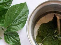 Beberapa senyawa di dalam daun sirih bersifat kardiotonik yang anda dapat mengunyah 2 helai daun sirih 1x sehari untuk mendapatkan manfaat ini. Coba Rutin Cuci Muka Dengan Air Rebusan Daun Sirih Keluarga Pasti Pangling Lihat Perubahan Drastis Saat Lebaran Nanti Semua Halaman Sajian Sedap