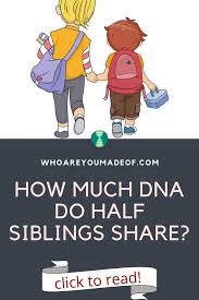 It is this range that makes up for the next part. How Much Dna Do Half Siblings Share Who Are You Made Of