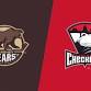 Hershey Bears at Charlotte Checkers - Bojangles Coliseum, 2700 E Independence Blvd Event Image