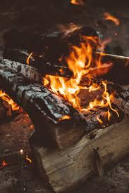 We did not find results for: The Ultimate Guide To Beach Bonfires In Orange County That Oc Girl