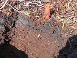 Organic and peat soils engineering. Malaysian Peat Soils Are Different From Temperate Peat Soils And Have Lower Co2 Emissions Ipom