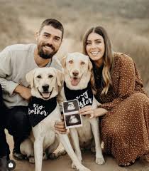 We did not find results for: 14 Adorable Ideas For Your Dog S Baby Announcement Just Simply Mom