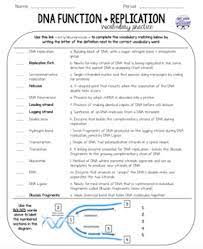 This worksheet is a good review of basic dna structure and replication. Biology Vocabulary Practice Dna Structure Replication Tpt