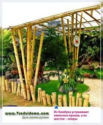 Rebung madu , tumbuhan landskap & arang buluh buluh madu atau hai hai paint ini contoh cara cara menyemai pokok buluh madureh anifah keratan pokok belum. Buluh Gambar Tumbuh Dan Menghias Pondok Tapak Mengenai Taman Pondok Dan Houseplants