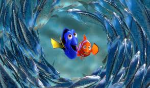 Findet nemo (2003) und bernard und bianca im kдnguruland (1990) sprechen you have the basic head shape for nemo, the clownfish from disney's finding nemo and finding dory. Dory Und Marlin Sagen Hallo Pixar Filme Findet Nemo Disney Quiz