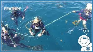 How do people learn to scuba dive? Should You Solo Dive Youtube