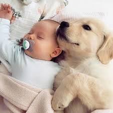 Daniel Vesey and John Corcoran's Wedding Registry