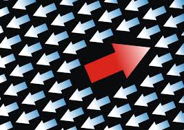 images?q=tbn:ANd9GcTeSVTz2IdLNsHUKsCsLz0N1IifTLbgsZFlpUkqwnM6G_BEfCMe