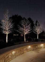 The Down Lighting In The Retaining Wall Lights The Path Here And The Large Coping Stone Offers Landscape Lighting Design Backyard Lighting Landscape Lighting