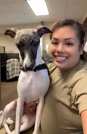 Lost Dog in Mayfield, Aiken Area