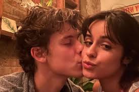 Perjalanan Romansa Camila Cabello dan Shawn Mendes, Teman Jadi Cinta