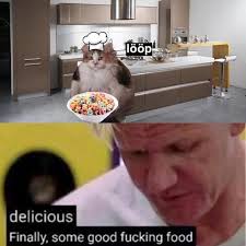 Cats Wanting Fruit Loops Memes Life Memes Vape Humor