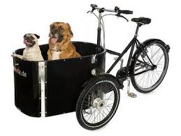 In this episode our italian greyhounds, arthur and audrey professional testers, help us review 2 bicycle baskets by solvit.*solvit bicycle baskets. Dog A Cargo Bike For Doglovers Biking With Dog Cargo Bike Dog Trailer