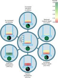 Maybe you would like to learn more about one of these? Oxygenation In Cell Culture Critical Parameters For Reproducibility Are Routinely Not Reported