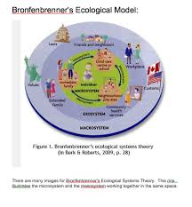 Pin On Domain 2 Artefacts Perspectives On Learning Behaviour And Communication