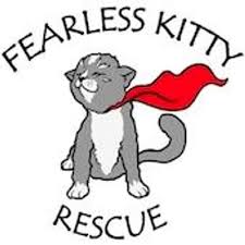 On may 3rd he will be 4 weeks old. Kitten Adoption Gilbert Az The Y Guide