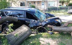 A tornado touched down late sunday evening in southwestern chicago suburbs. Nws Confirms Seven Tornadoes Hit Chicago Area 1340 Wjol