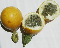 Pin On Fruits Of Costa Rica