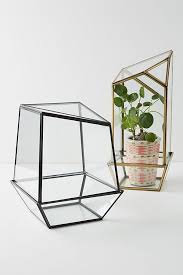 Glass Terrarium Anthropology De Glass Terrarium Home Decor Uk Terrarium