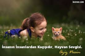 Hayvan Sevgisi Ile Ilgili Sozler Guzel Sozler Guzel Mesajlar Ince Sozler