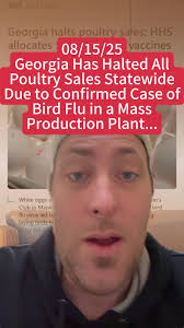 Fapo Lion of Georgia