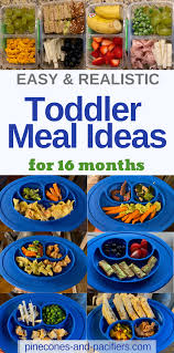 Easy Toddler Meal Ideas 16 Months In 2020 Easy Toddler Meals Toddler Meals Healthy Toddler Meals