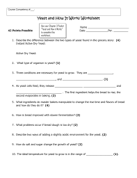 Yeast Bread Worksheet