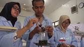 .bius ampuh apotik obat bius paling ampuh dan aman obat bius trivam propofol cara membuat obat bius hirup dari bahan alami cara membuat obat bius dari antimo dan kopi cara membuat obat bius hewan sederhana cara membuat obat bius asap rokok #kesehatan #obattidur #obatbius. Obat Bius Ampuh Cara Membuat Obat Bius Hirup Dari Bahan Alami Obat Bius Hirup Paling Ampuh Top Youtube