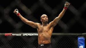 He is a former ufc middleweight champion and holds the record for. Anderson Silva Ufc Facebook