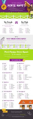 Female dog names that start with j. Find The Perfect Horse Name Horsemart