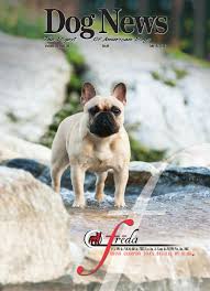 Named after cooking areas aboard a ship, the hallmark of galley kitchen designs is two parallel runs of cabinetry with a narrow corridor in between. Dog News July 26 2013 By Dog News Issuu