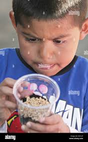 Afterschool program hi-res stock photography and images