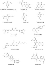 Image result for polyphenol