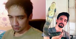 A Man Was So Devastated After Divorcing His Wife So He Let His Black Mamba Bite Him To Death Facts Wt