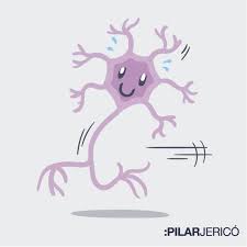 Somos Capaces De Crear Nuevas Neuronas A Cualquier Edad Con Un Sencillo Ejercicio Que Esta En Tus Manos En 2020 Neuronas Cerebro Salud Fisica Y Mental