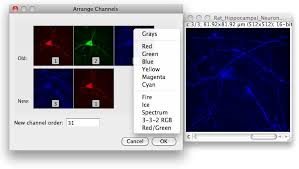 This is a color model display format that uses the three primary colors (blue, red and green) to create an image. Image Menu