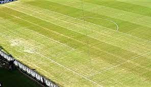 Tendangan bebas dari luar kotak penalti disebut juga. Lengkungan Kotak Penalti Dan Garis Garis Lapangan Lainnya Pandit Football Indonesia