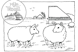 Kleurplaat abraham 50 jaar sara en abraham gkv apeldoorn zuid bible inside kleurplaat 50 jaar sponsored links the exciting photo below is part of kleurplaat 50 jaar written piece which is labeled. Color Drawing Of Sheep On Texel Vvv Texel