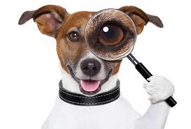 Securities Law and Going Public Blog