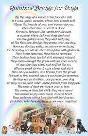 Make your classroom more efficient with pocket charts. 34 Rainbow Bridge Poems Ideas Rainbow Bridge Rainbow Bridge Poem Pet Loss Grief