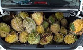 Check spelling or type a new query. 5 Cara Hilangkan Bau Durian Dalam Kereta Salaam