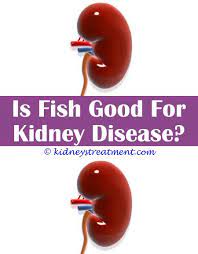 Pin On Polycystic Kidney Disease
