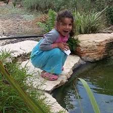 And a properly built ecosystem pond does not have still, stagnant water. Use Fish For Natural Mosquito Control Mother Earth News