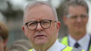 Lewis Benedetti: Northeast Gippsland bushy details his passion for training  horses and brumbies