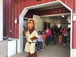 A nice zoo for small children with playground and rides. Santa Ana Zoo Annual Birthday Bash Oc Mom Blog