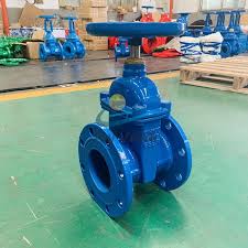 Resilient Wedge Gate Valves
